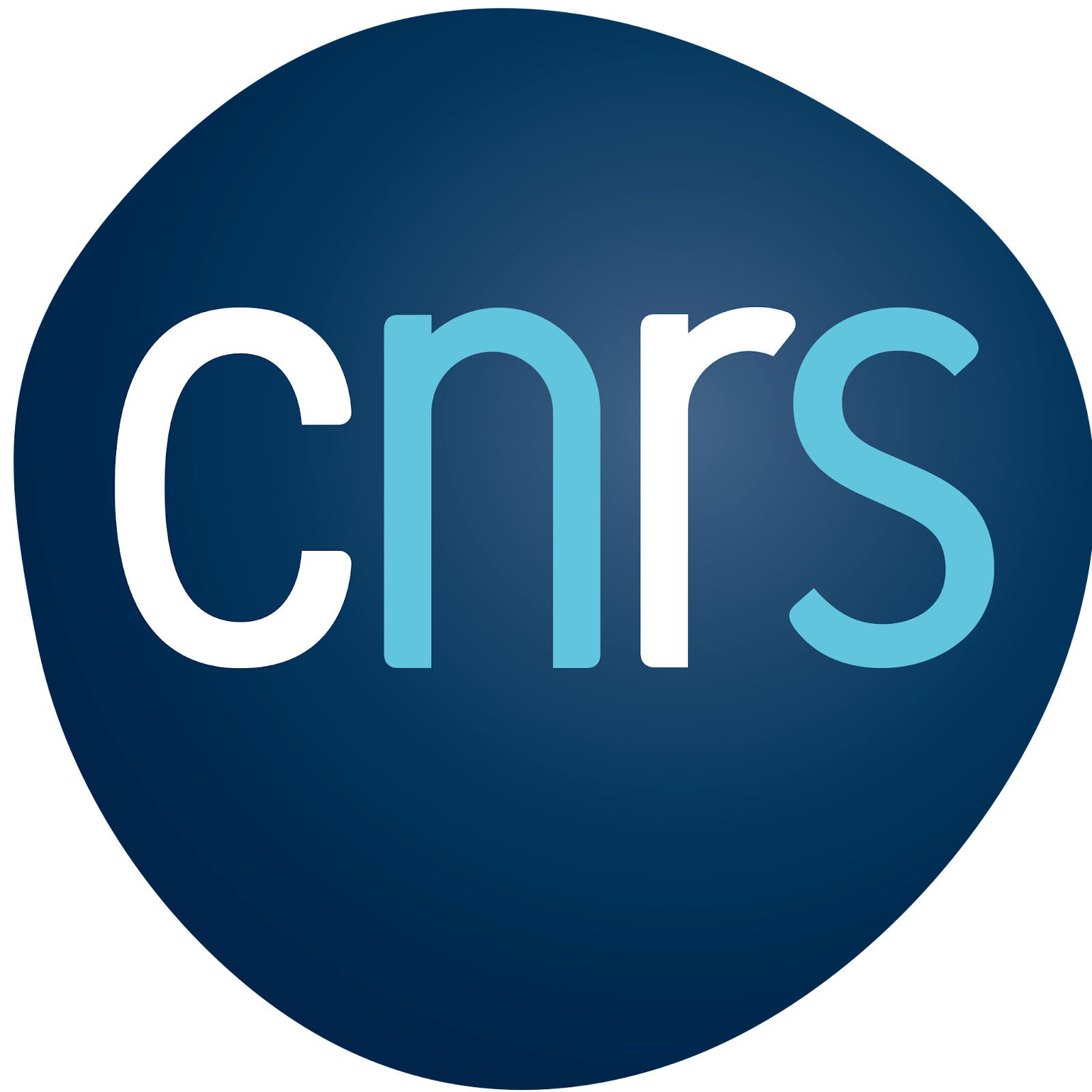 logocnrs