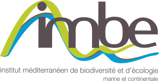 logoimbe