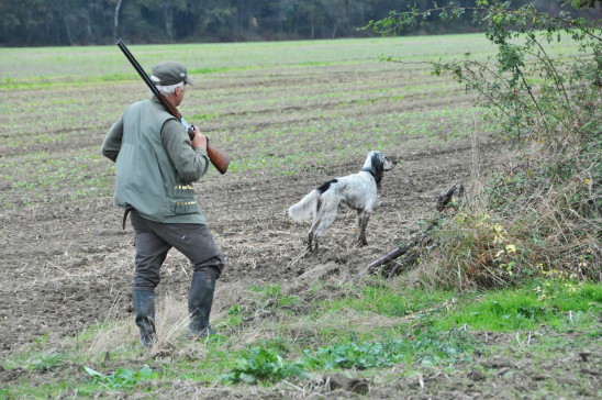 Visuel d'un chasseur avec son chien