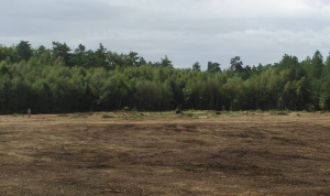 Visuel de landes en restauration