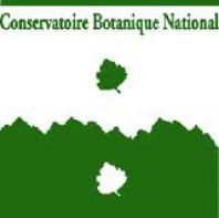 Logo CBN