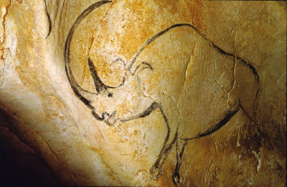 Visuel d'une peinture d'un rhinocéros sur un mur de la grotte.