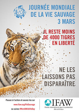 Campagne de sensibilisation pour la sauvegarde de la vie sauvage
