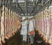 Inspection des abattoirs