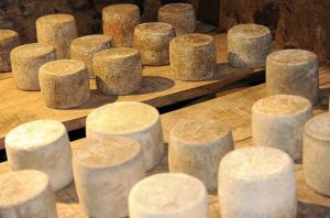 Visuel de plusieurs fromages sur une table