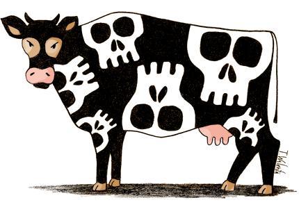 Dessin d'une vache avec des têtes de morts sur la peau